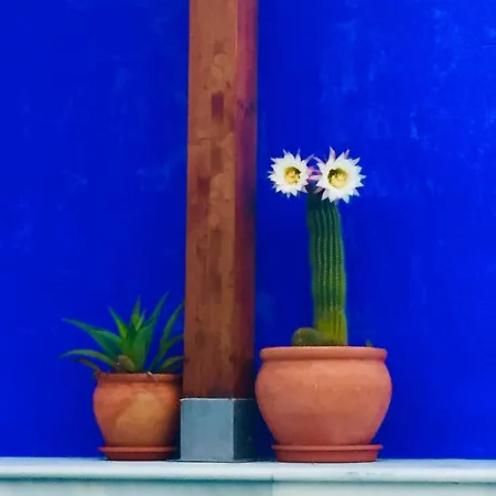 Bed & Breakfast Atelier 88 Alcala La Real