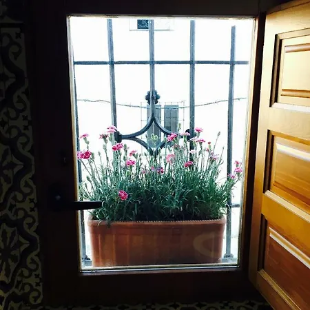 Bed & Breakfast Atelier 88 3*